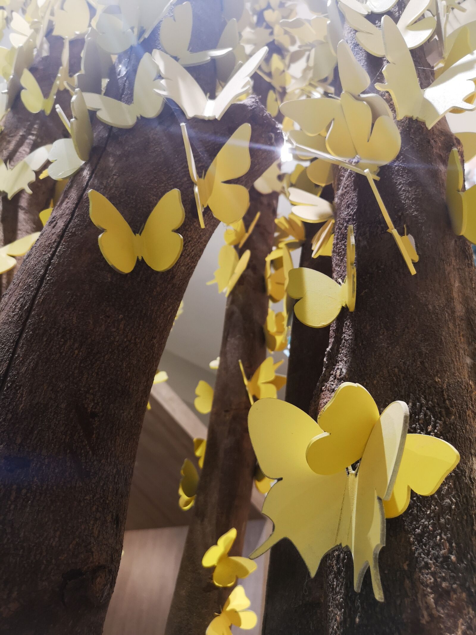 HUAWEI CLT-L29 sample photo. Butterfly, tree, butterfly effect photography