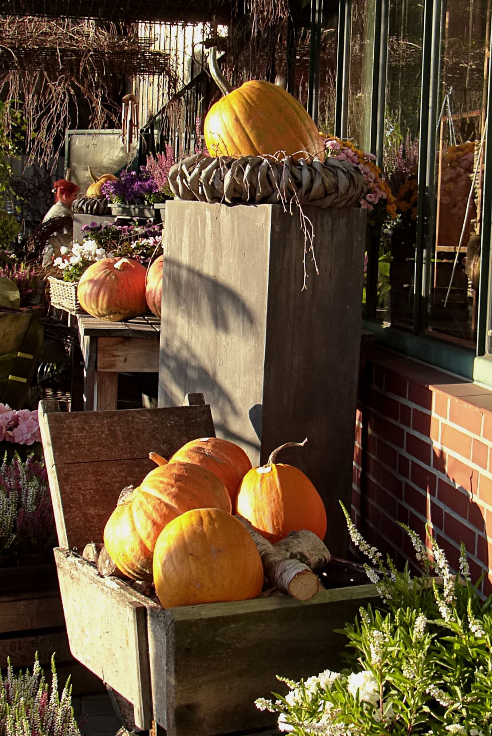 Panasonic Lumix DMC-FZ200 sample photo. Autumn, pumpkin, decoration photography