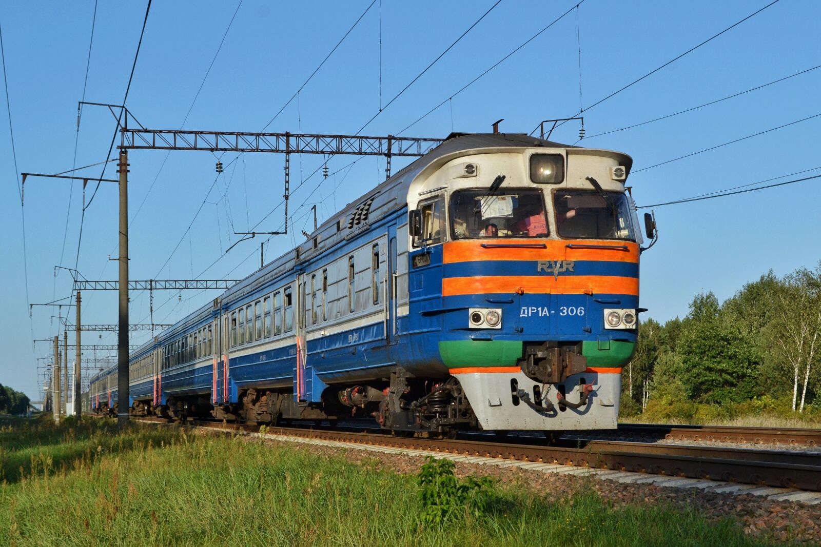Nikon D3100 sample photo. Train, др1а, nature photography