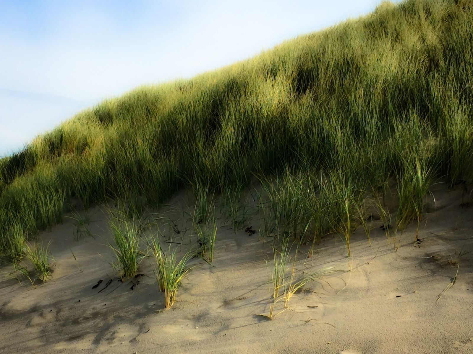 Apple iPhone 6 sample photo. Dune, water, beach photography
