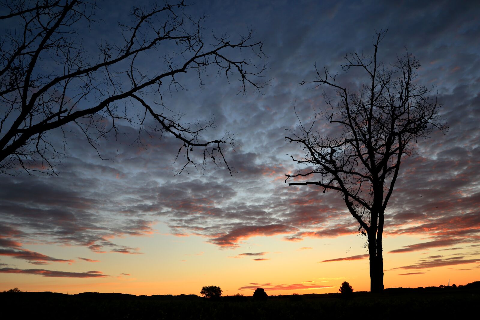 Canon PowerShot G1 X Mark III sample photo. Sunset, canal du midi photography