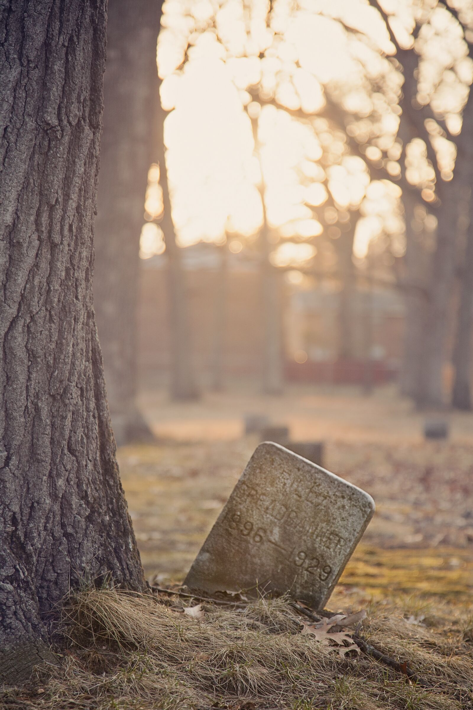 Canon EOS 5D Mark II sample photo. Death, cemetery, graveyard photography