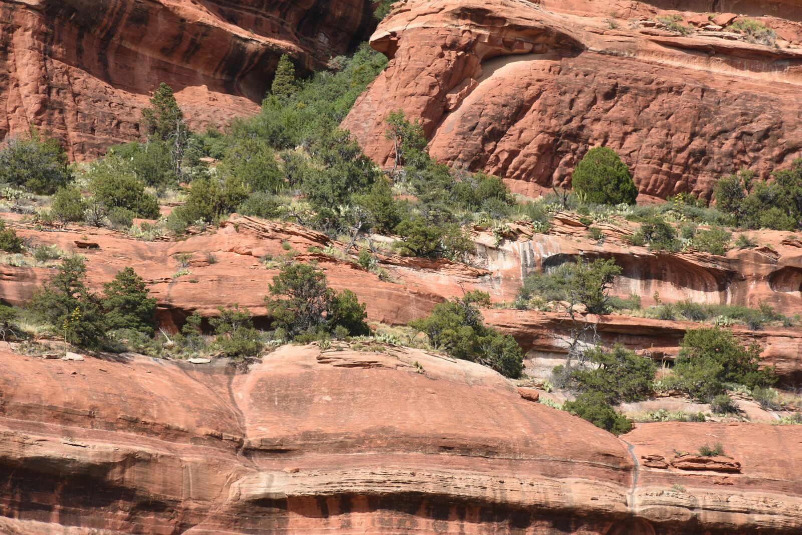 Nikon D7200 sample photo. Sedona, arizona, landscape photography