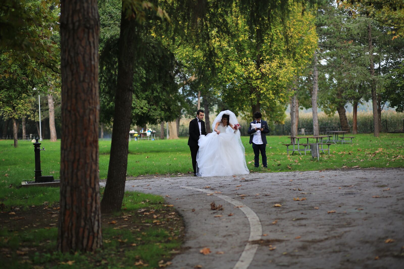 Canon EF 85mm F1.8 USM sample photo. Nature, outdoor photography, wedding photography