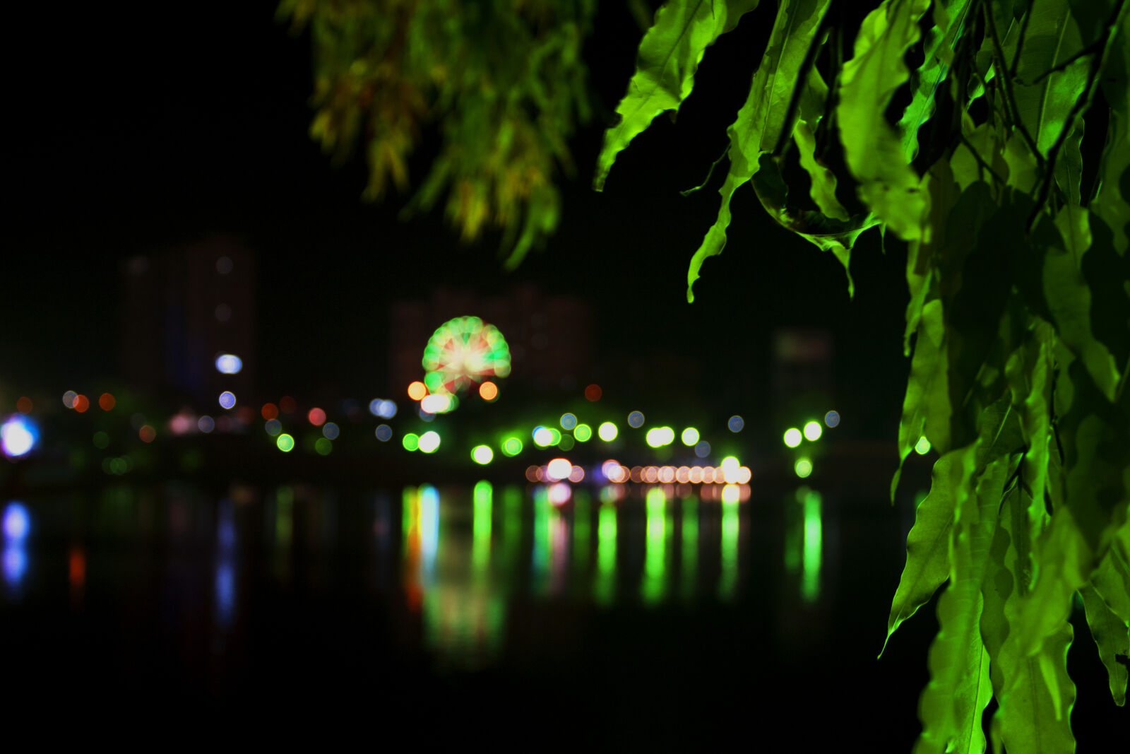 Canon EOS 1300D (EOS Rebel T6 / EOS Kiss X80) sample photo. Bokeh photography