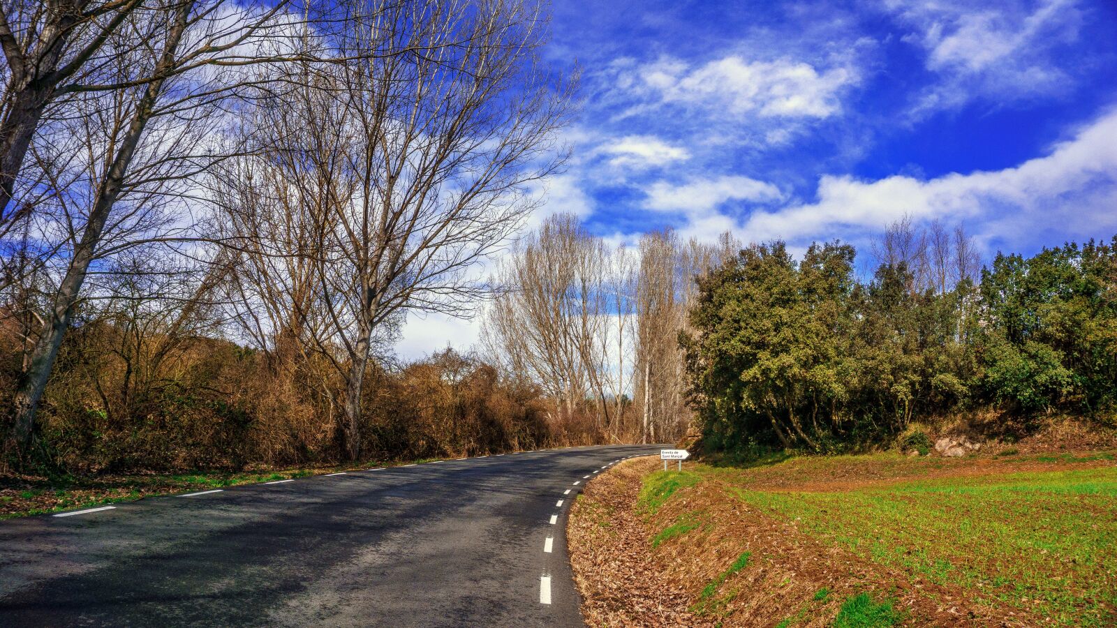 Sony E 16-50mm F3.5-5.6 PZ OSS sample photo. Transit, communication, tree photography