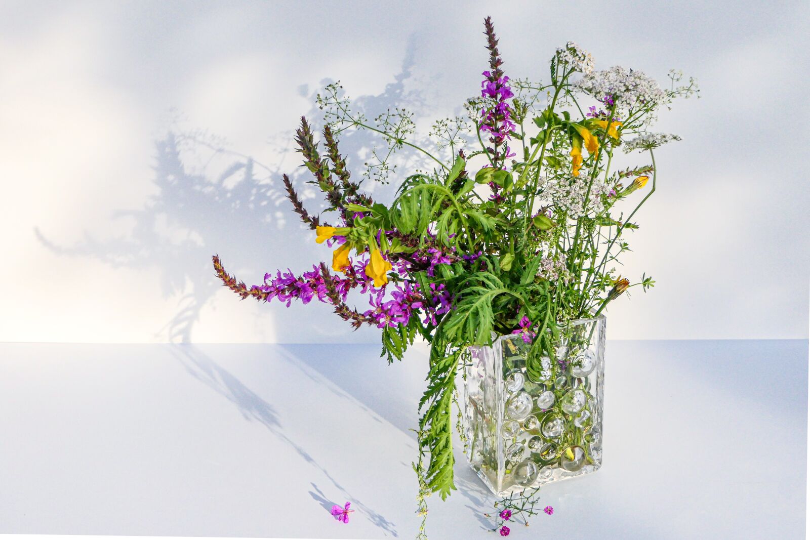 Panasonic Lumix DMC-FZ2500 (Lumix DMC-FZ2000) sample photo. Wild flowers, bouquet, wilting photography
