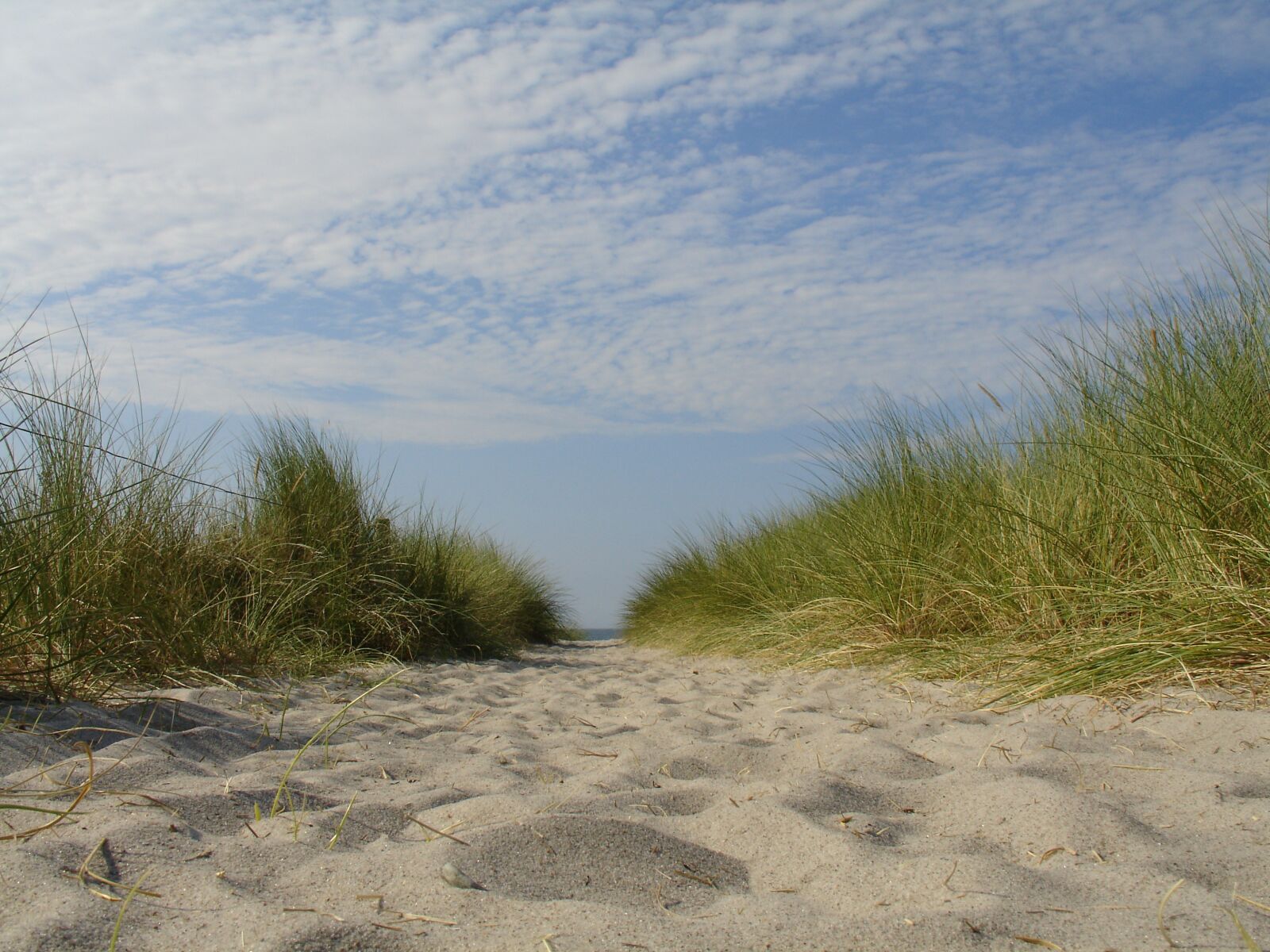 Sony DSC-V3 sample photo. Dune, grass, sand photography