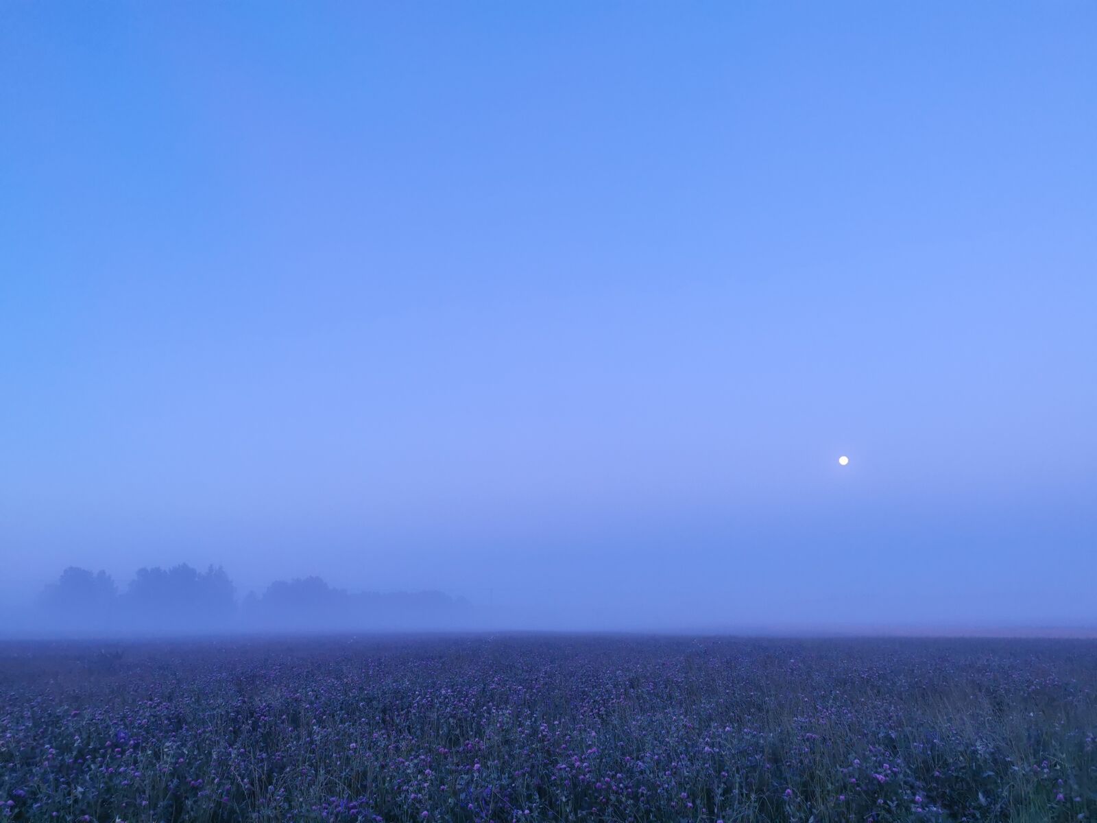 HUAWEI VOG-L29 sample photo. Moon, fog, fields photography