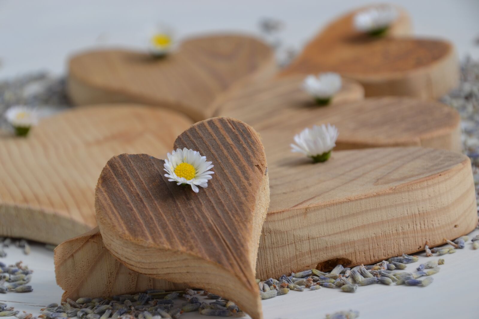 Nikon D3100 sample photo. Love, mother's day, heart photography