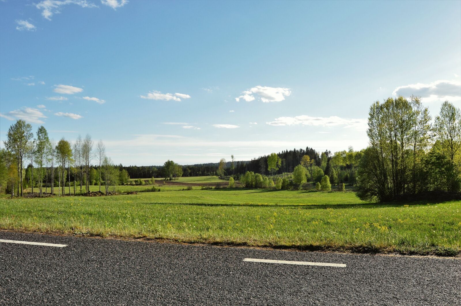 Nikon D3200 sample photo. Road, bed, grass photography