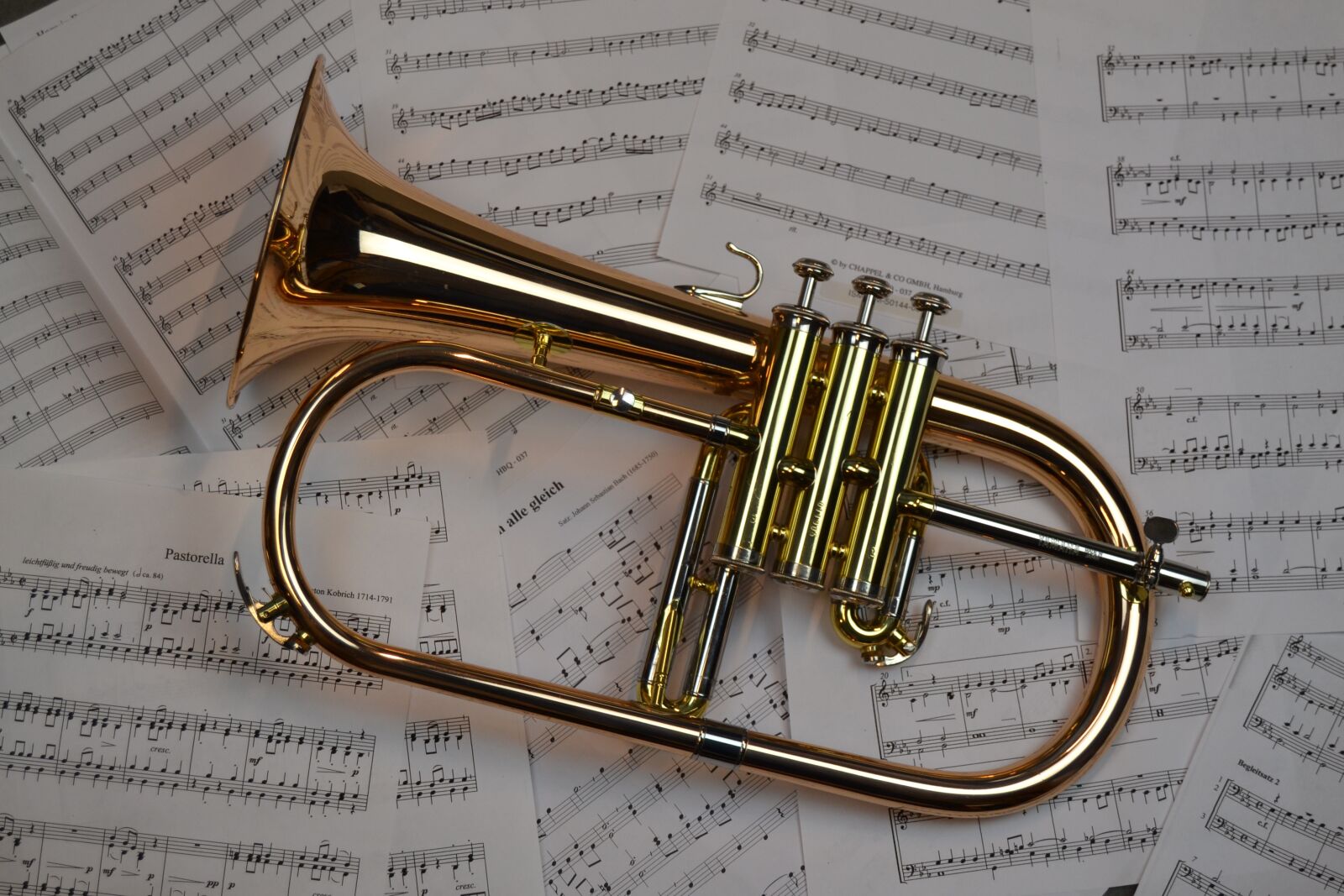 Nikon D3100 sample photo. Music, trumpet, sheet music photography