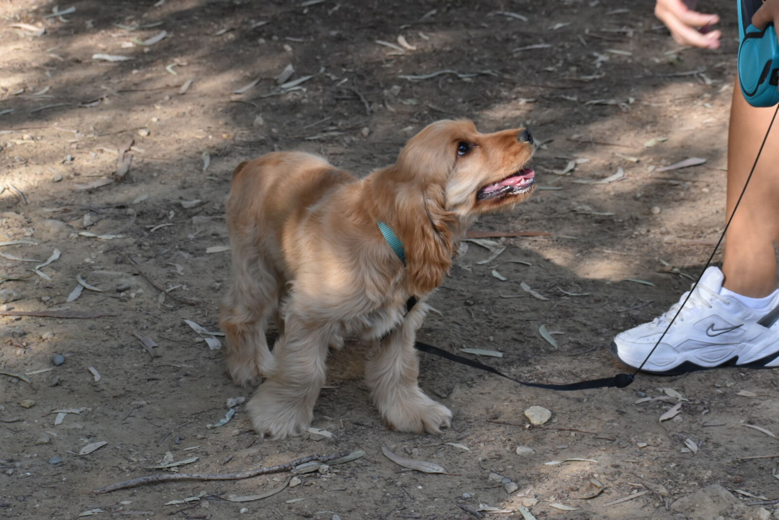 Nikon D5600 sample photo