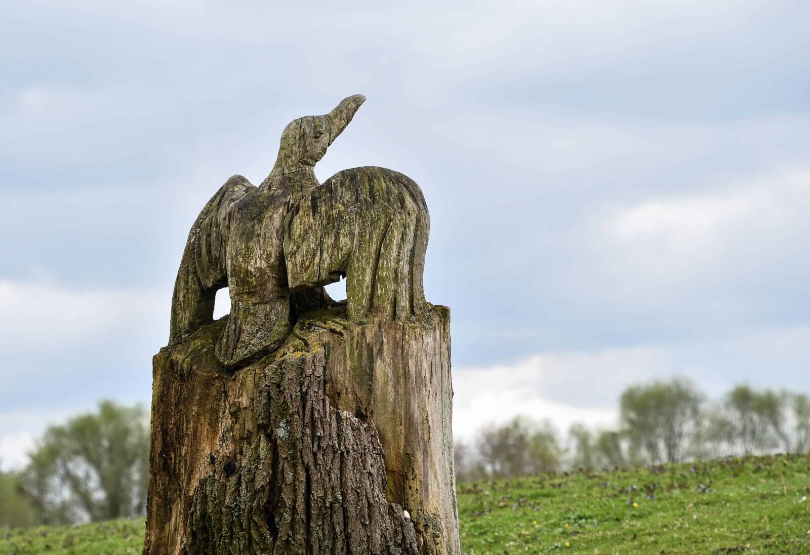 Nikon D500 sample photo. Sculpture, wood, art, bird photography