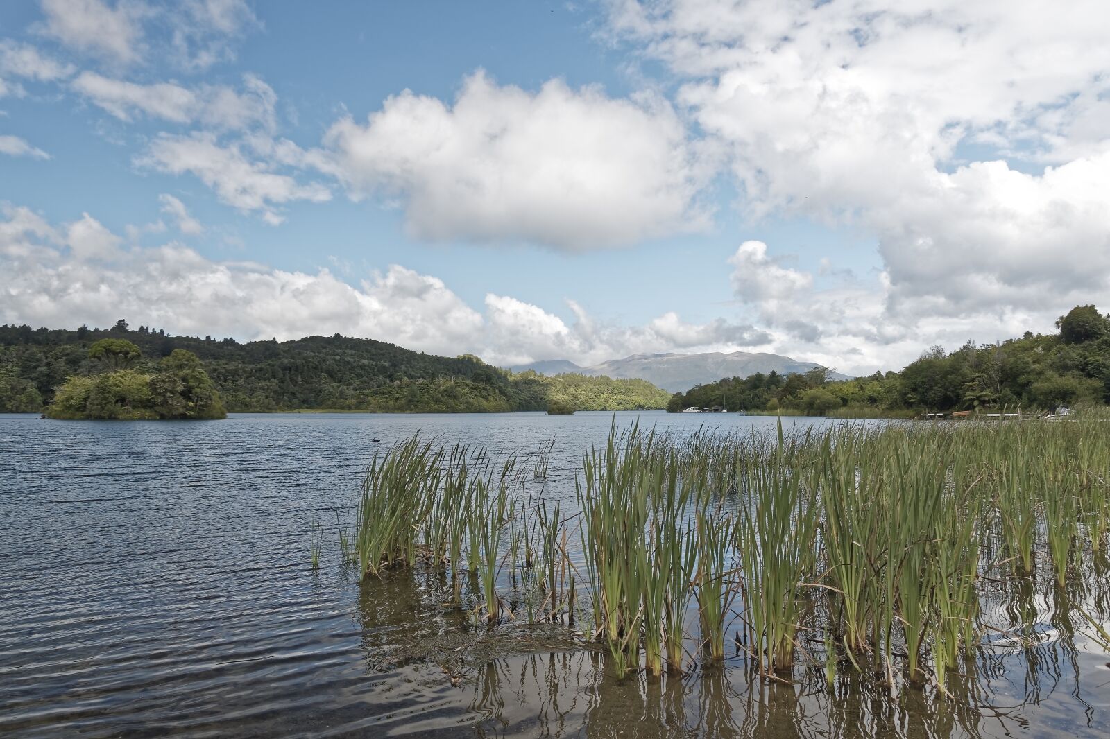 Nikon D500 sample photo. New zealand, lake tarawera photography