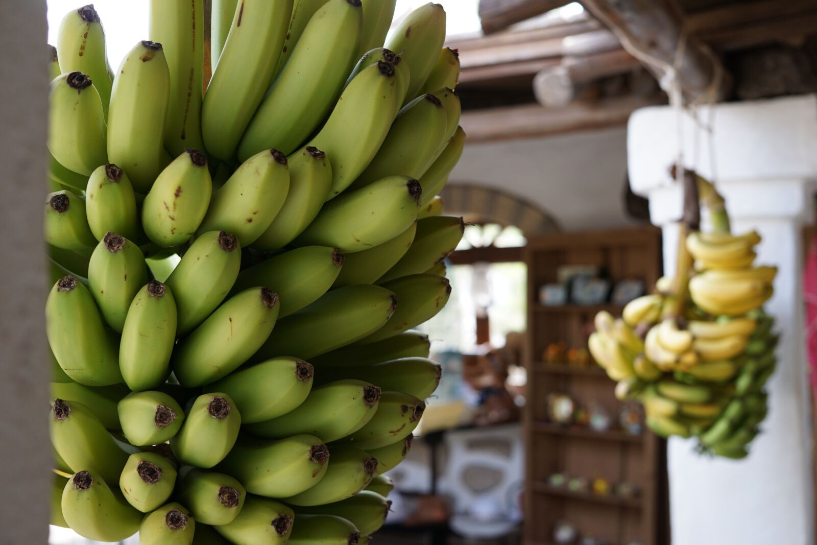 Sony a6000 + Sigma 30mm F2.8 EX DN sample photo. Banana, fruit, grow photography