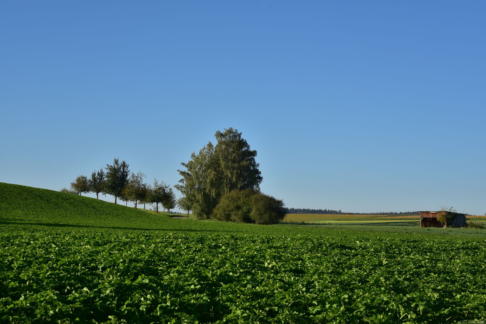 Nikon D750 sample photo. Green, landscape, nature photography