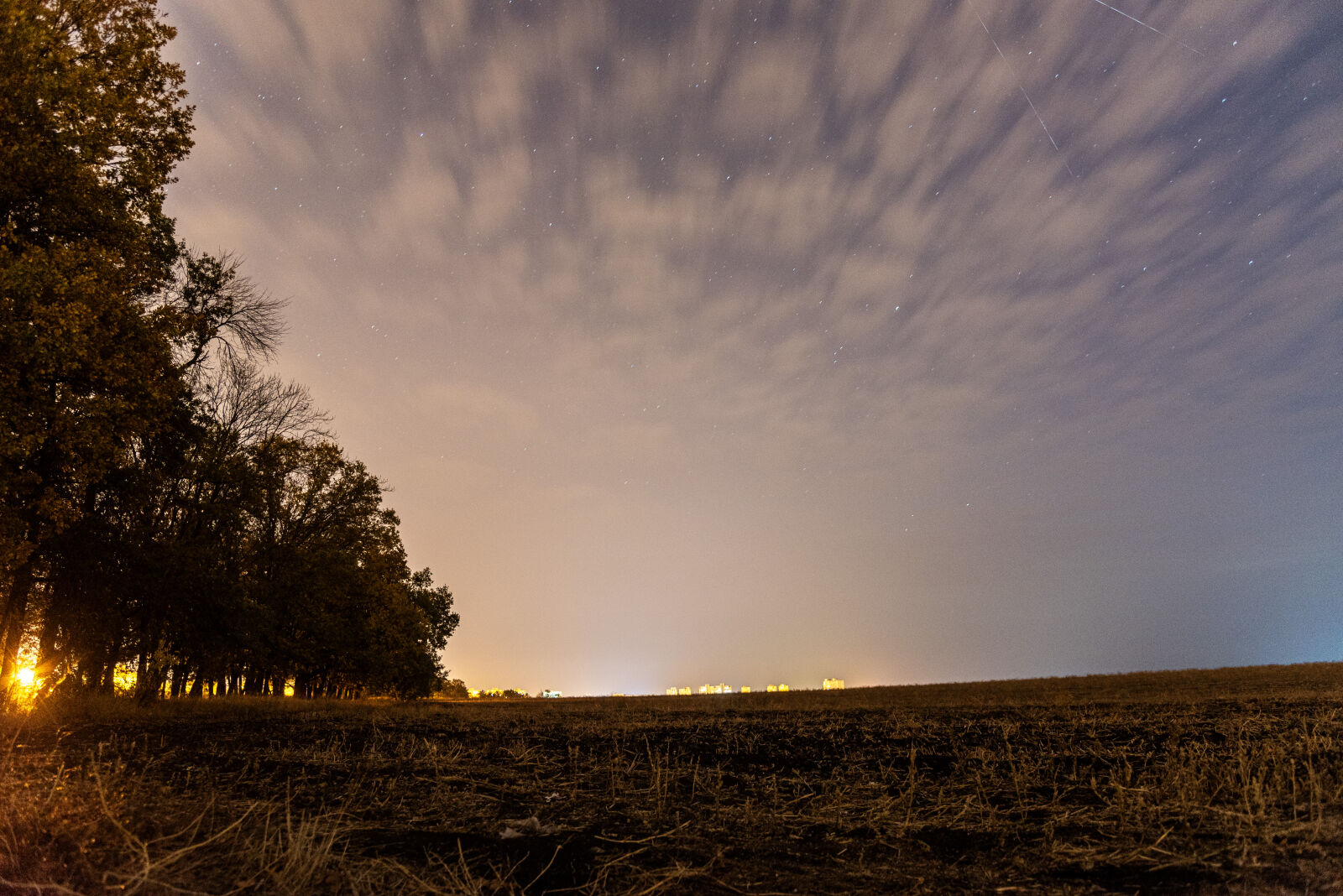 Nikon D750 sample photo