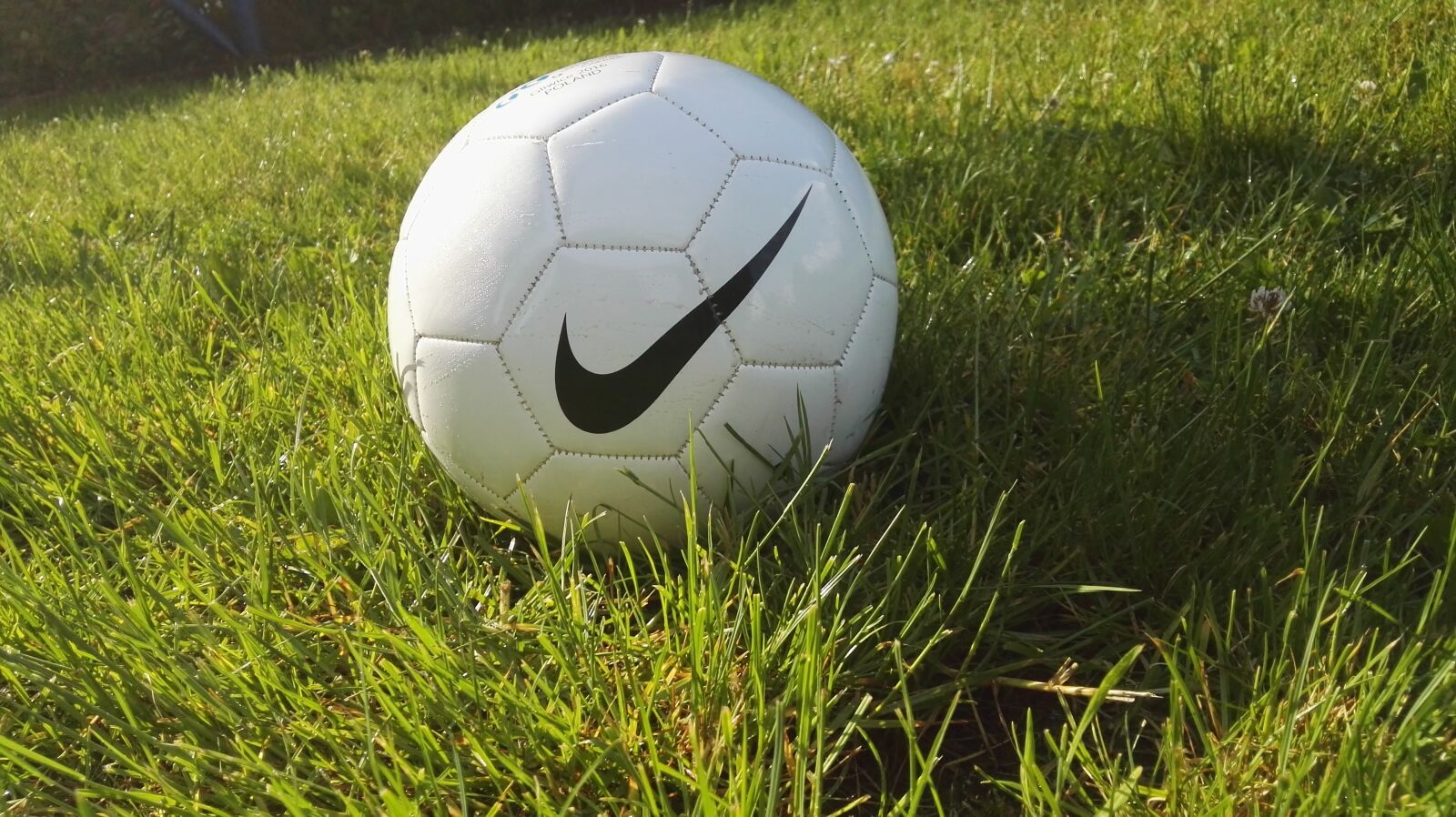HUAWEI GRA-L09 sample photo. Football, the pitch, waist photography