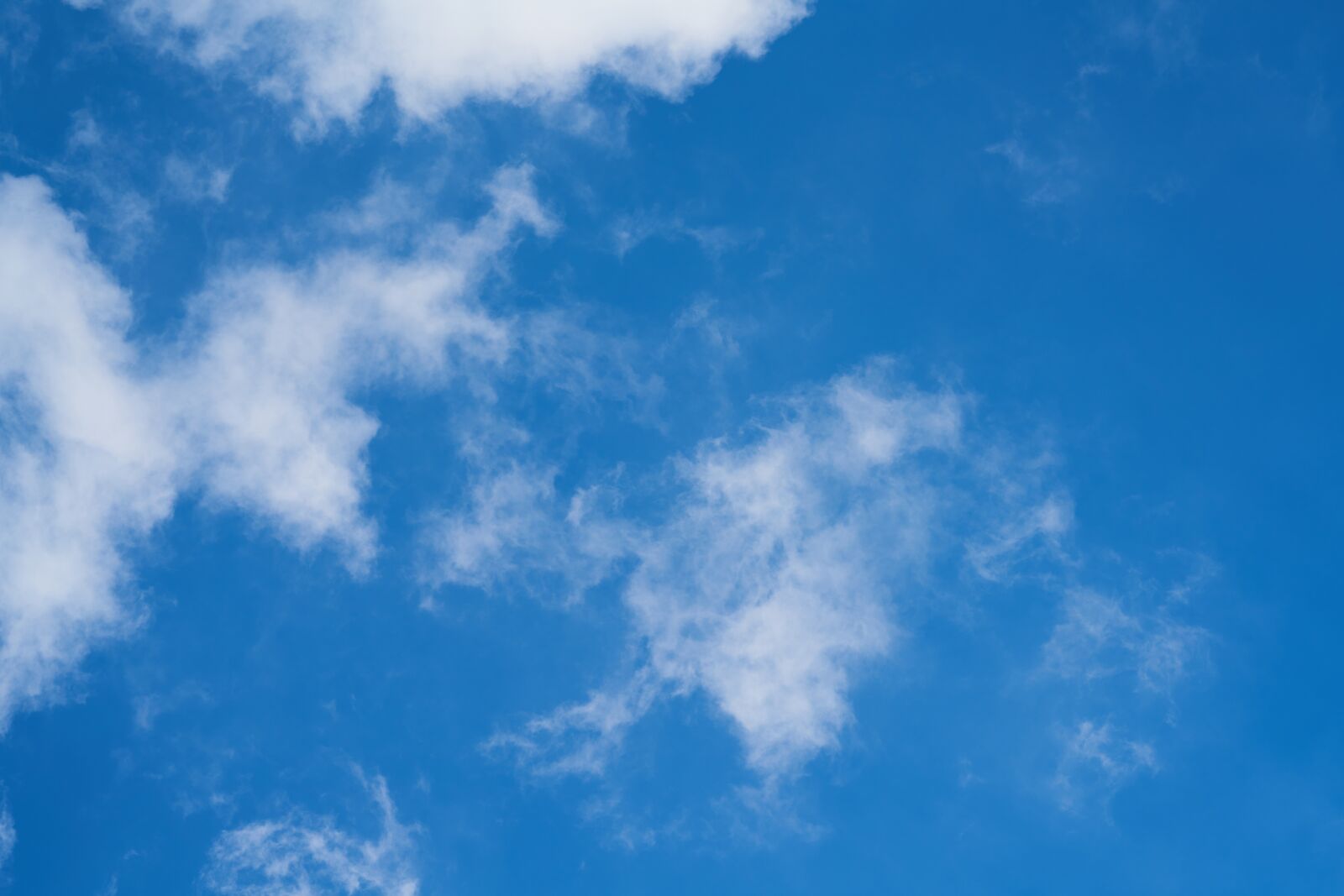 Sigma 85mm F1.4 DG HSM Art sample photo. Cloud, blue, sky photography