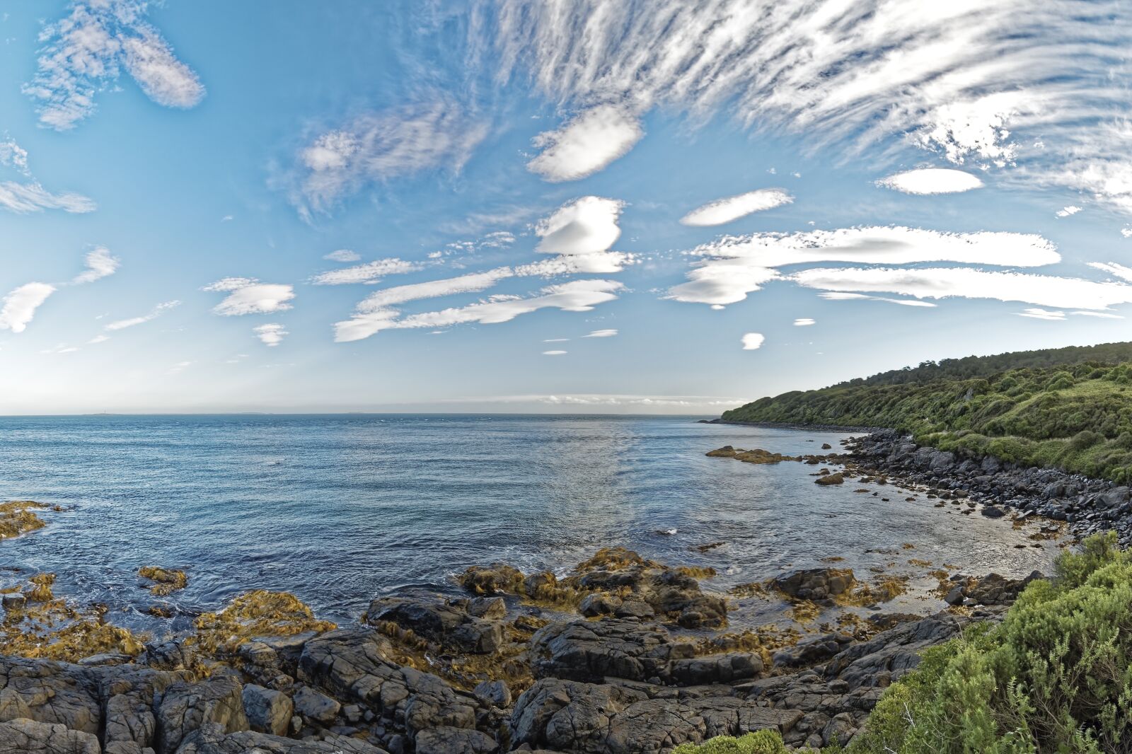 Nikon D500 sample photo. New zealand, stirling point photography