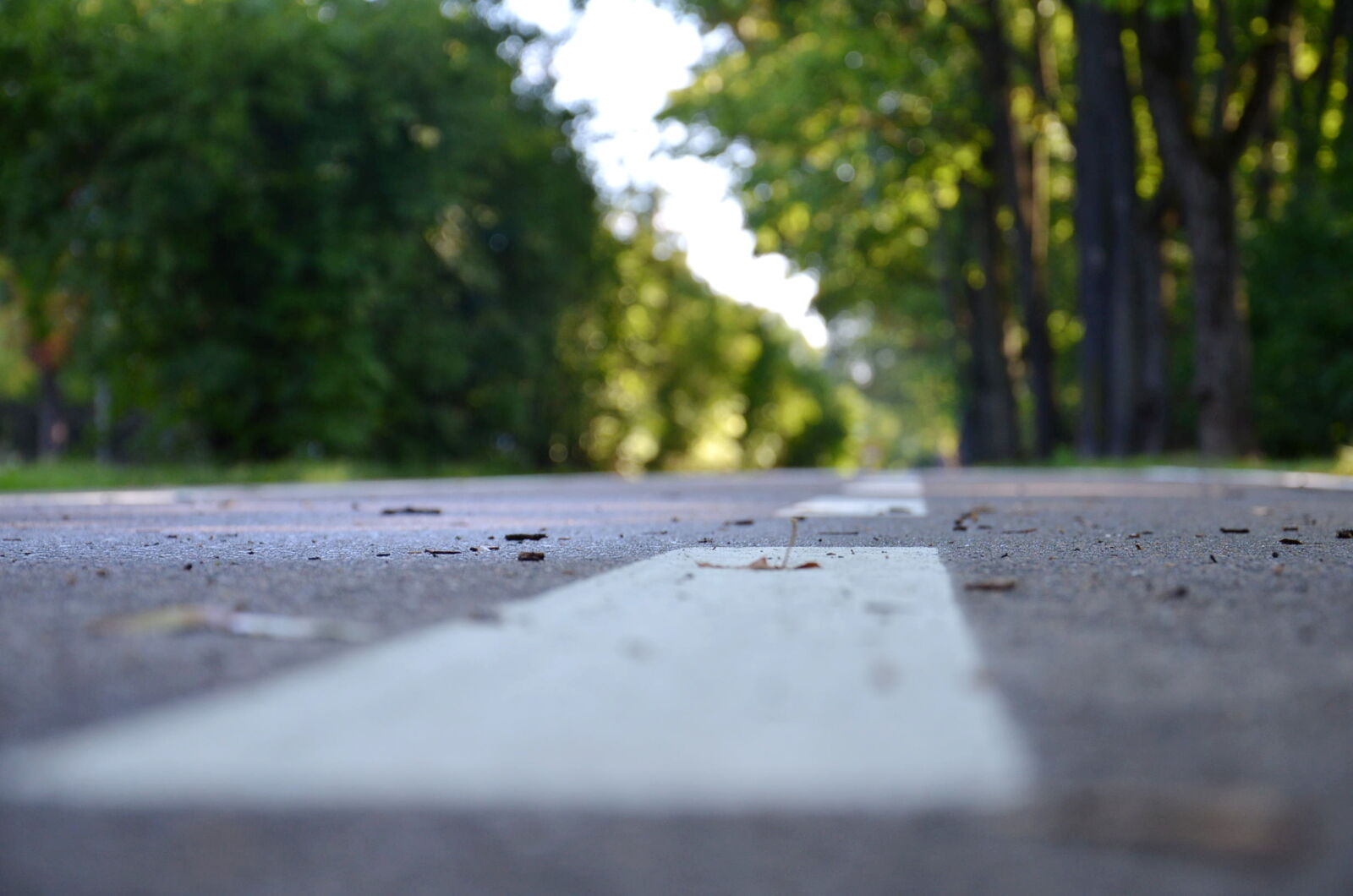 Nikon D5100 sample photo
