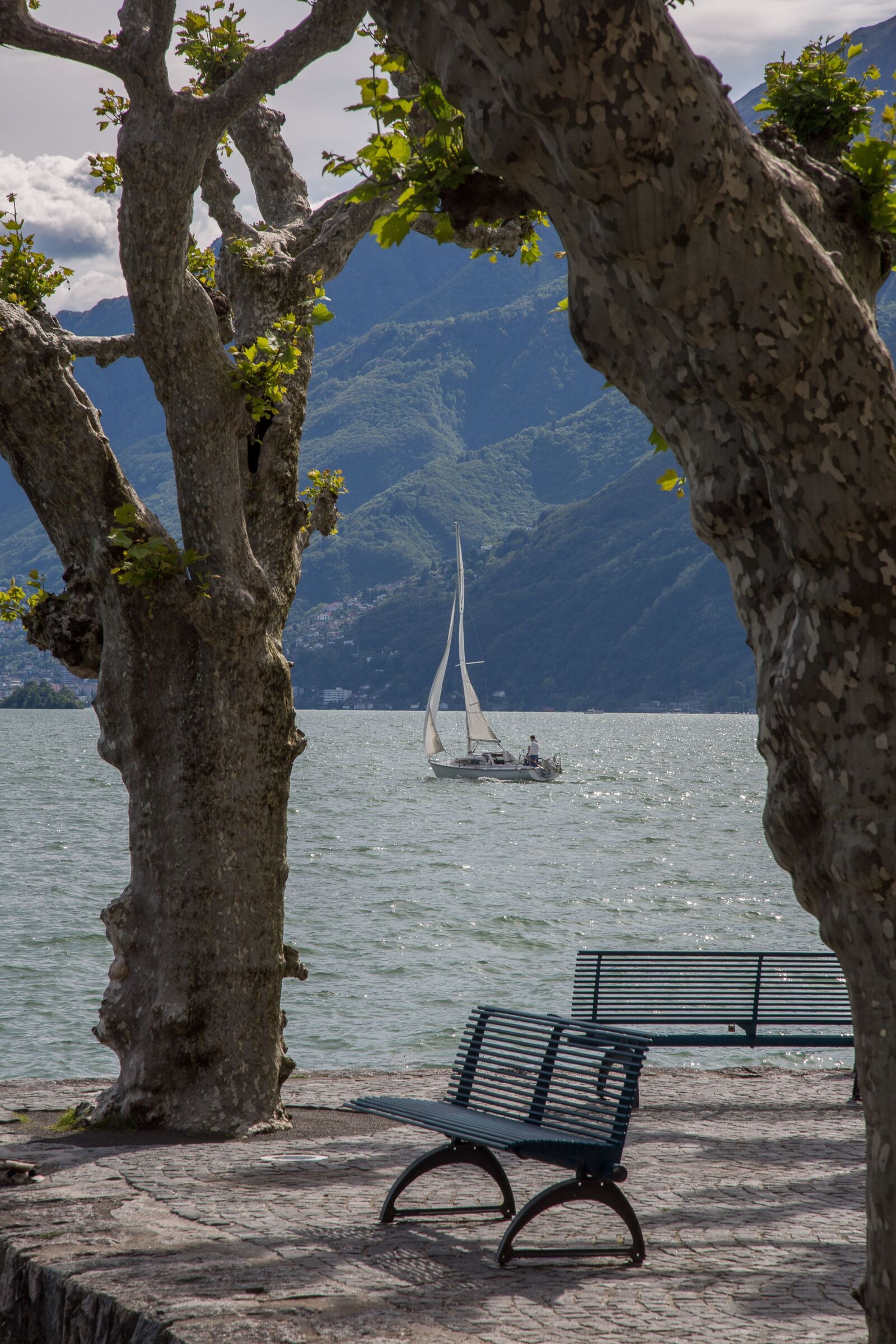 Canon EF 24-105mm F4L IS USM sample photo. Lake, lago maggiore, vacations photography