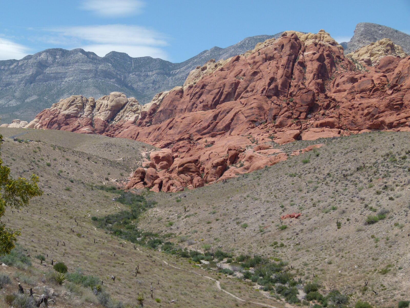 Panasonic Lumix DMC-FZ100 sample photo. Red rock canyon, nevada photography