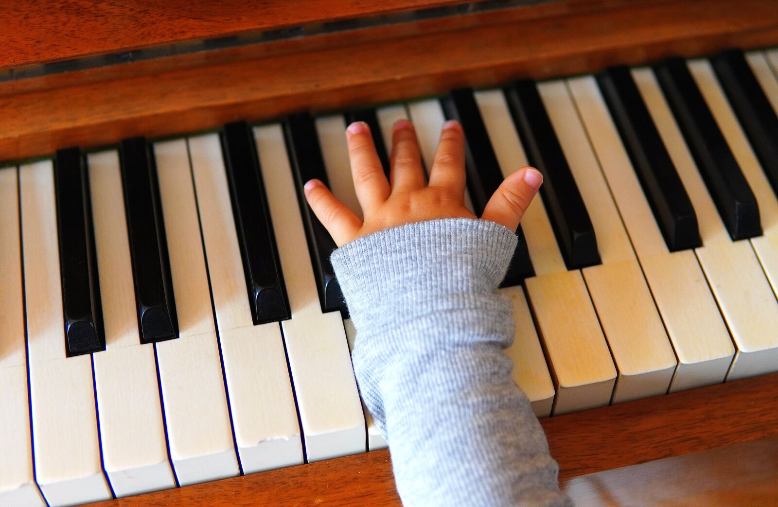 30mm F1.4 DC DN | Contemporary 016 sample photo. Hand, child, children's hands photography