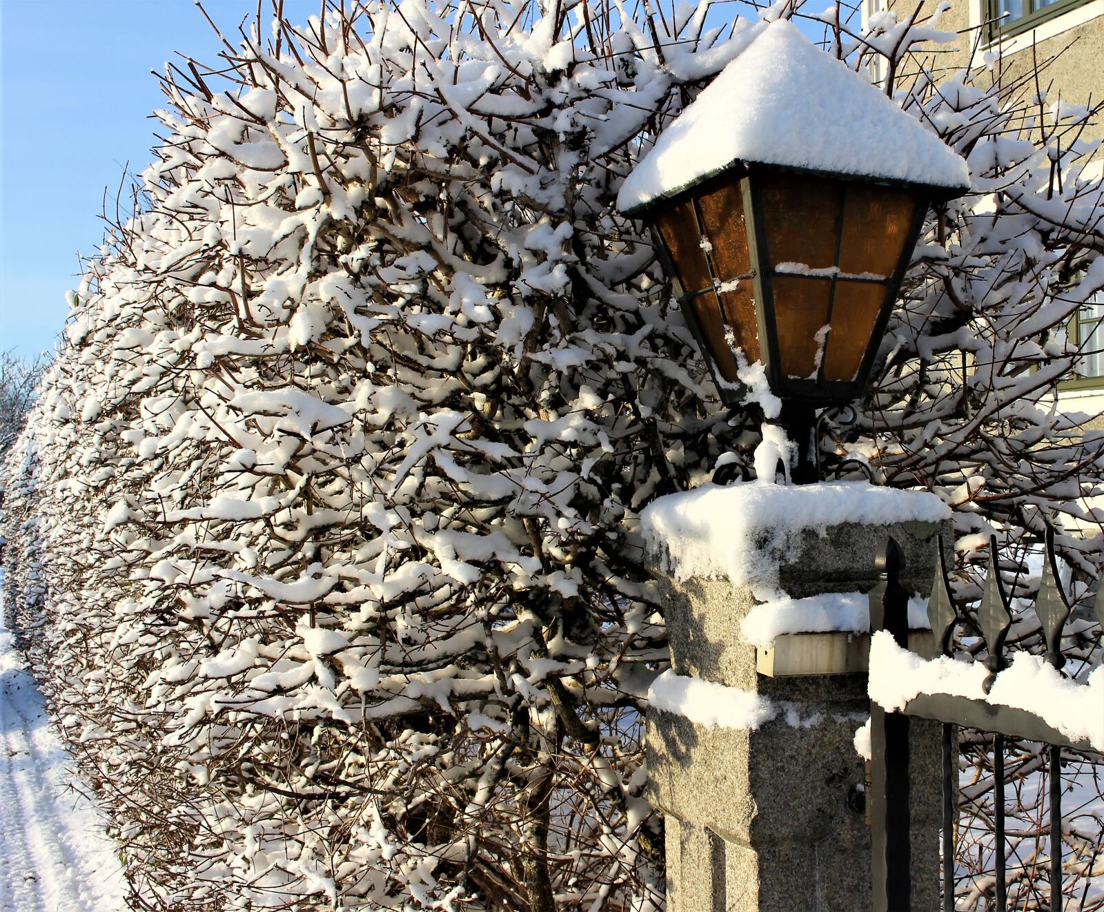 Canon EOS 700D (EOS Rebel T5i / EOS Kiss X7i) sample photo. Lamp, nature, snow photography