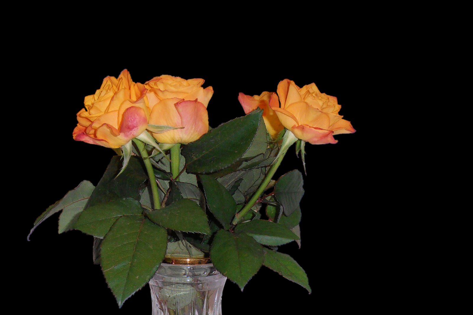 Olympus VR310,D720 sample photo. Close, up, of, flowers photography