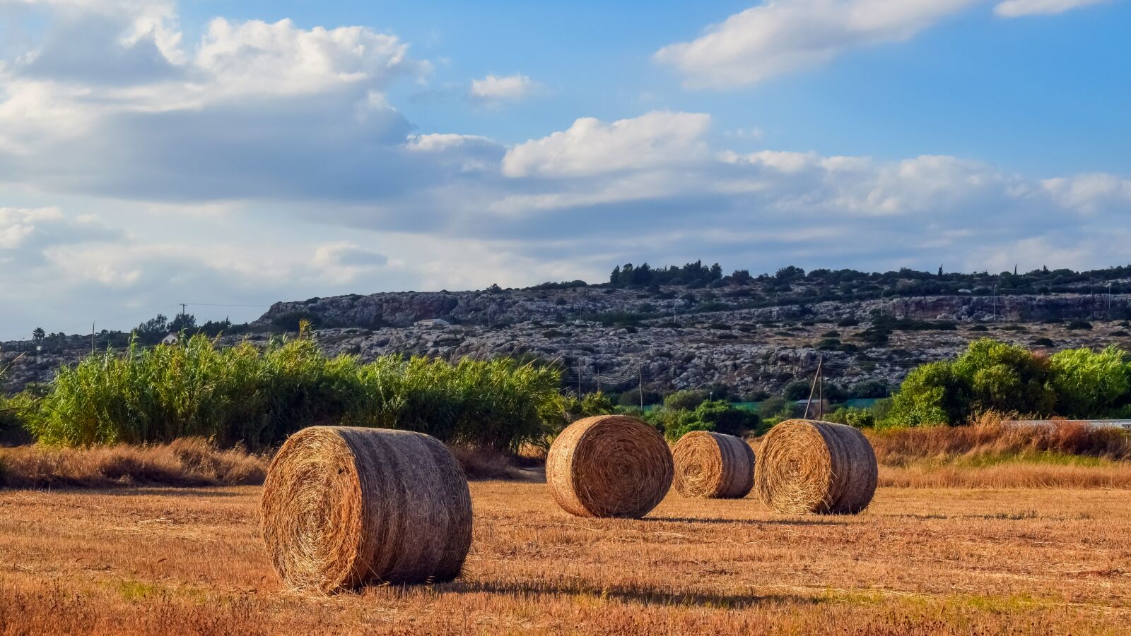 Nikon D3300 sample photo. Hay, straw, bale photography