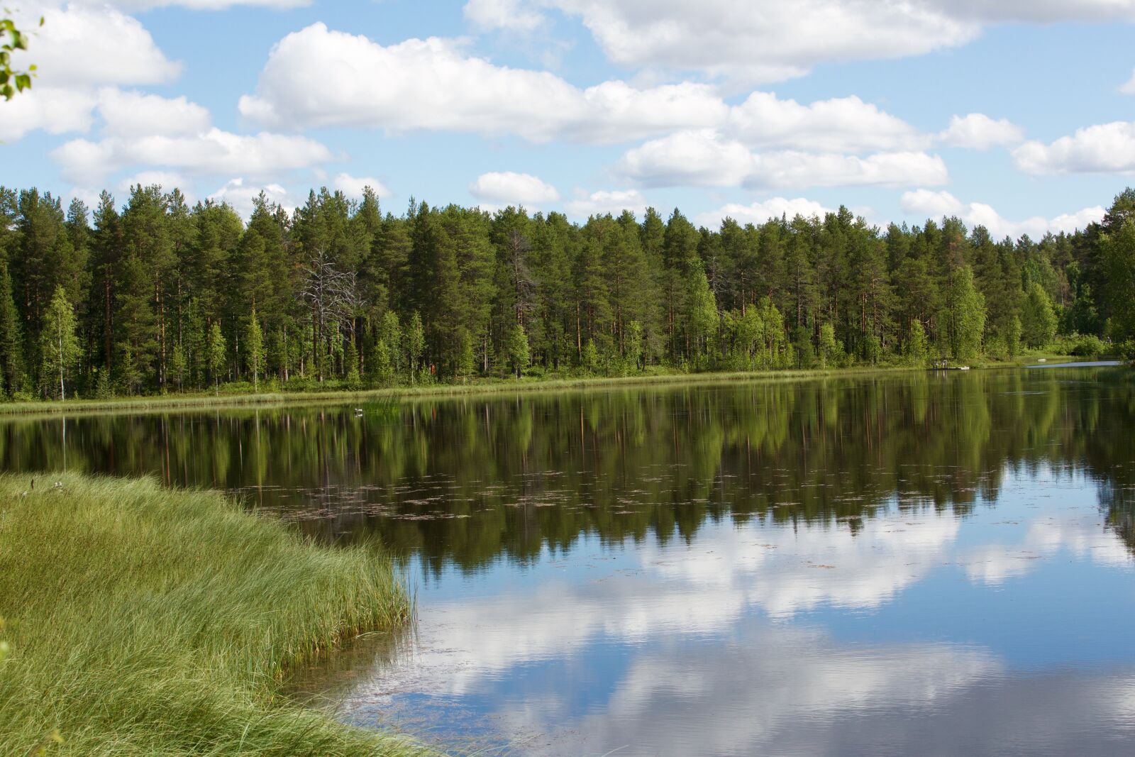 Canon EOS 5D Mark III sample photo. Sweden, nature, wallpaper photography