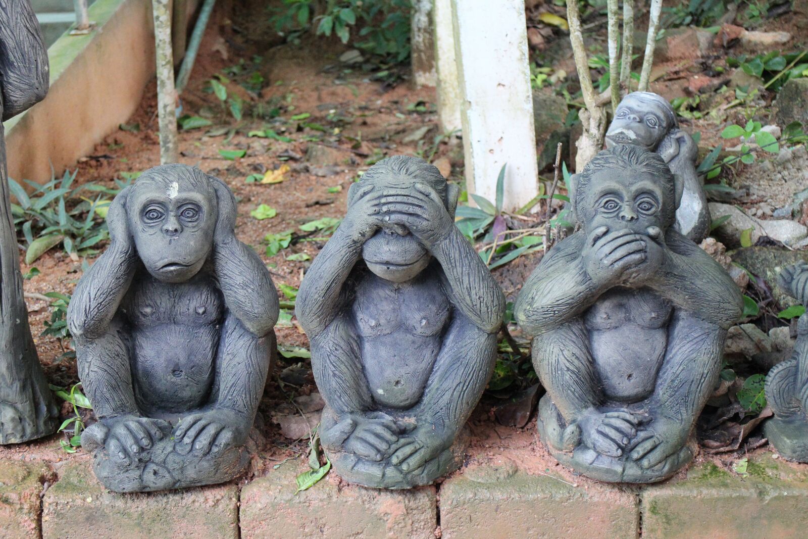 Canon EOS M sample photo. Wood, monkey, sculpture photography