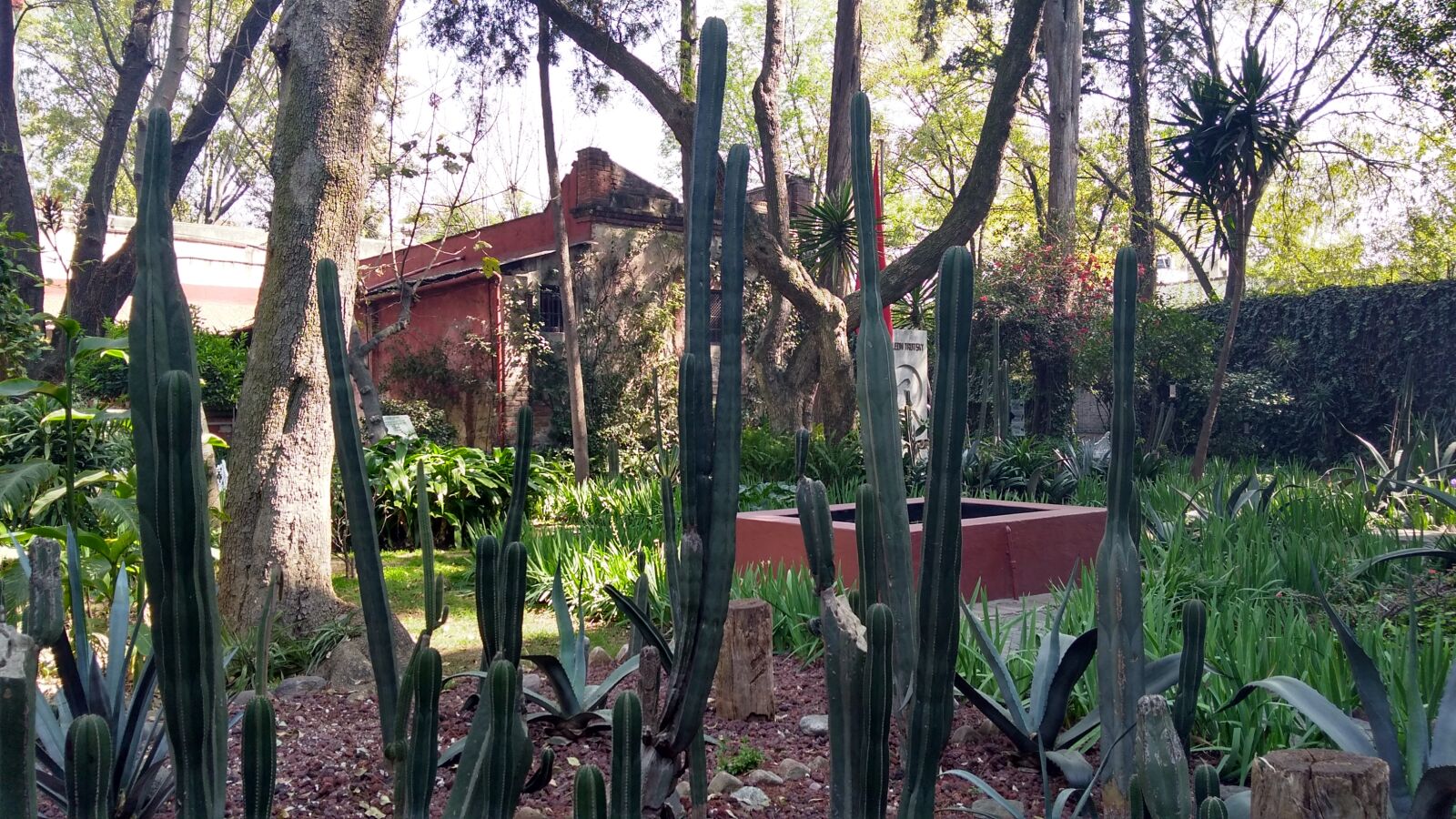 Motorola Moto G Play sample photo