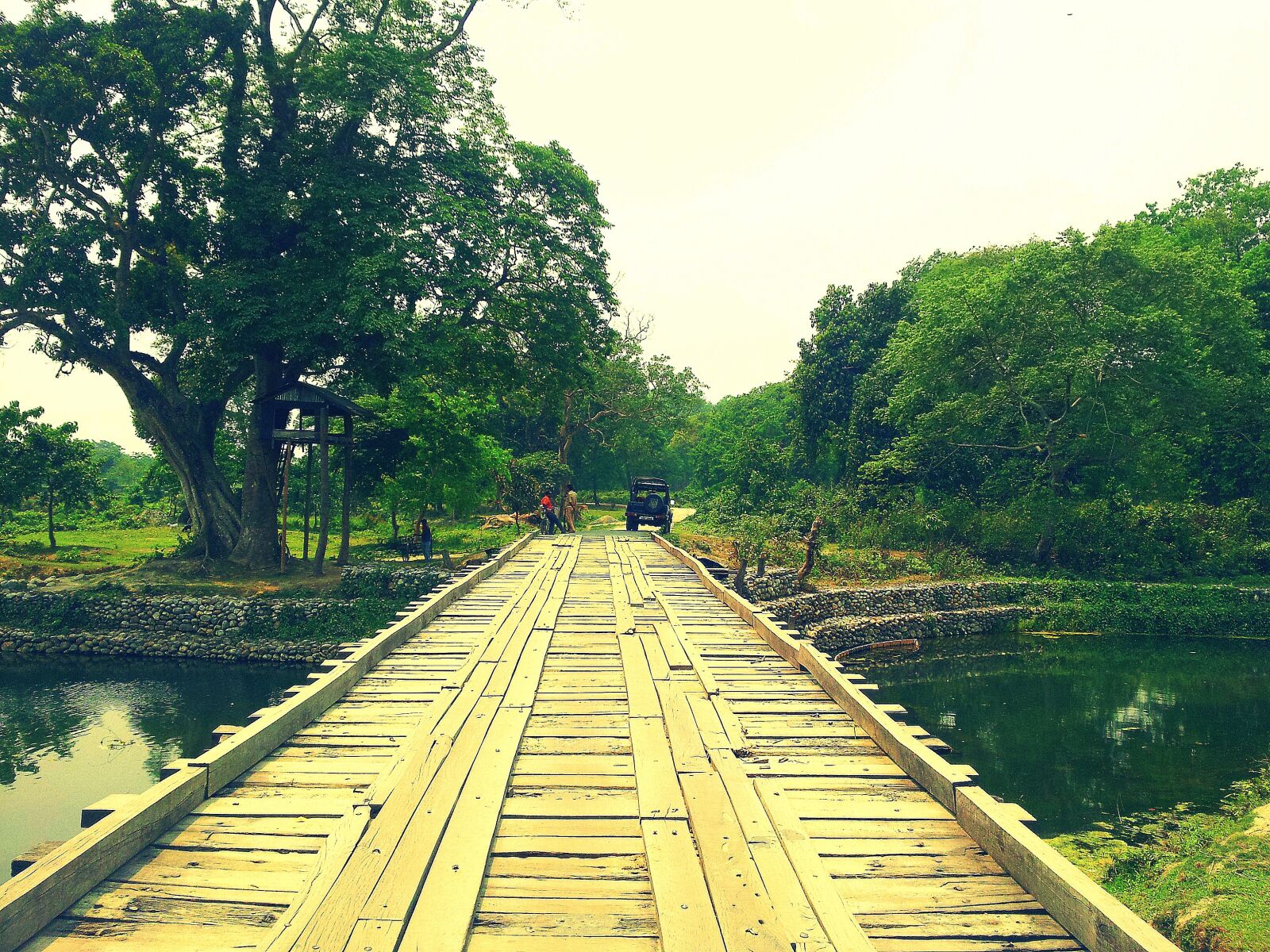 Samsung Galaxy S2 sample photo. Wooden bridge, forest, bridge photography