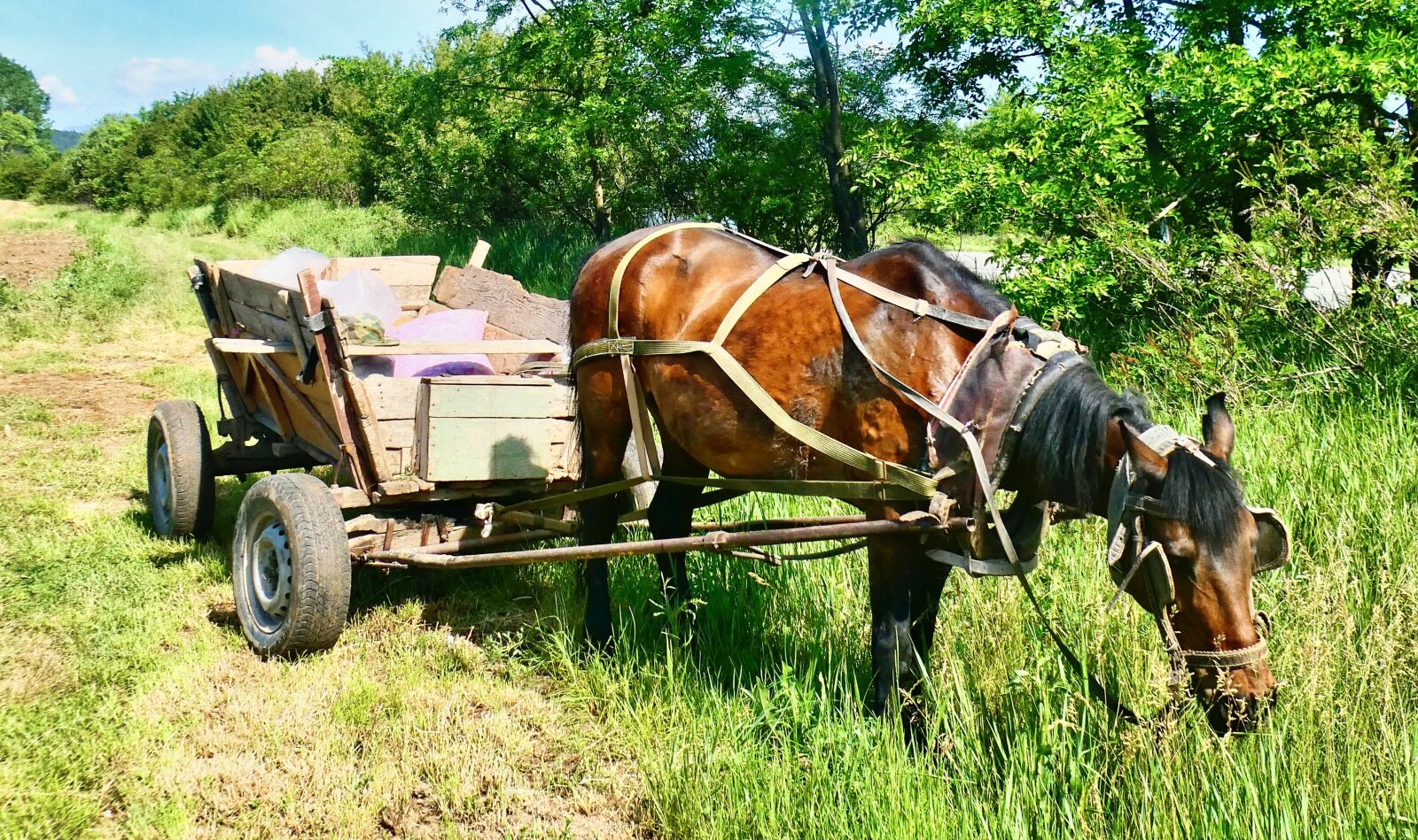 Panasonic Lumix DC-ZS70 (Lumix DC-TZ90) sample photo. Cart, wooden, horse photography