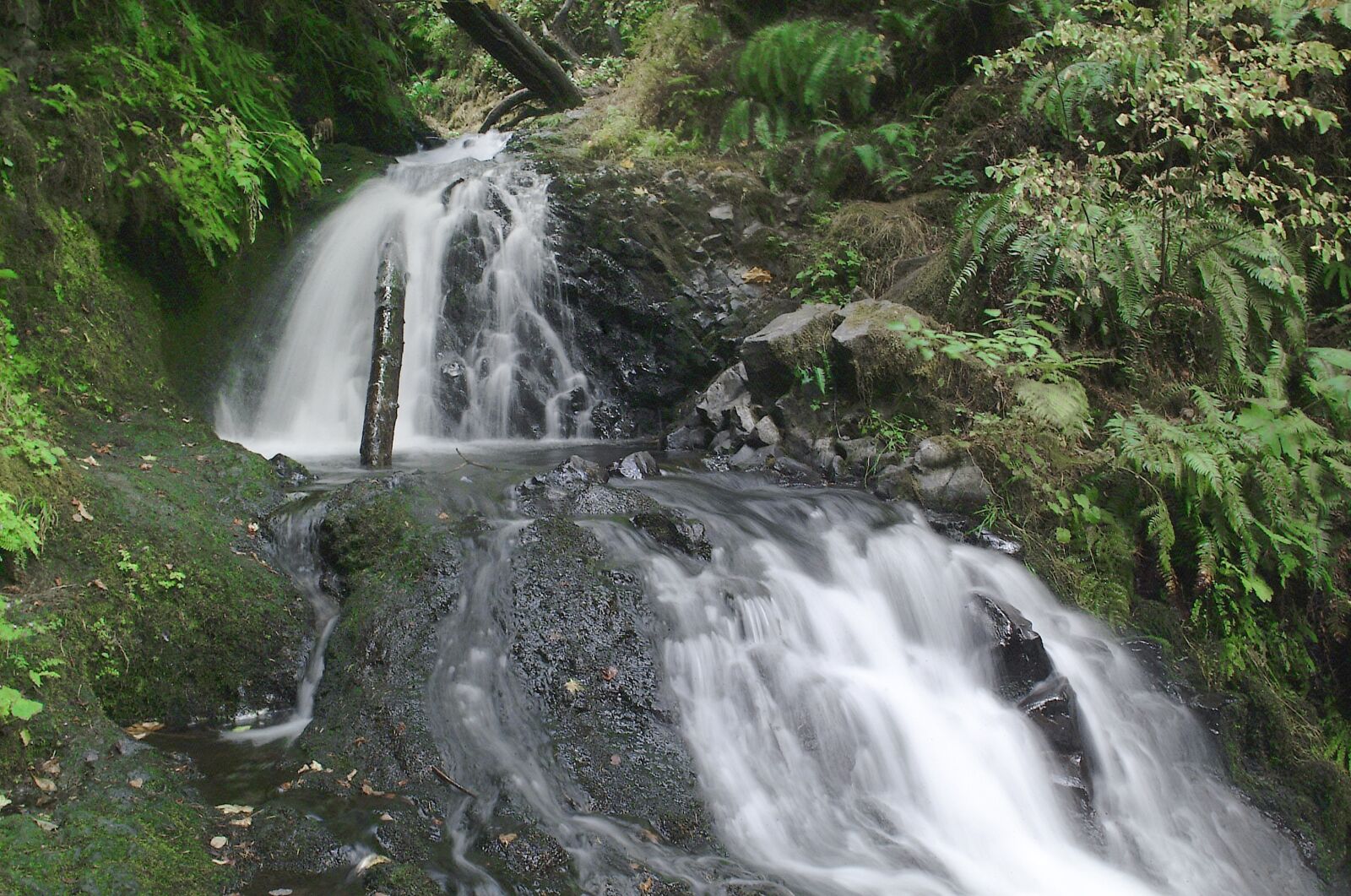 Fujifilm FinePix S1 Pro sample photo. Oregon, waterfall, nature photography