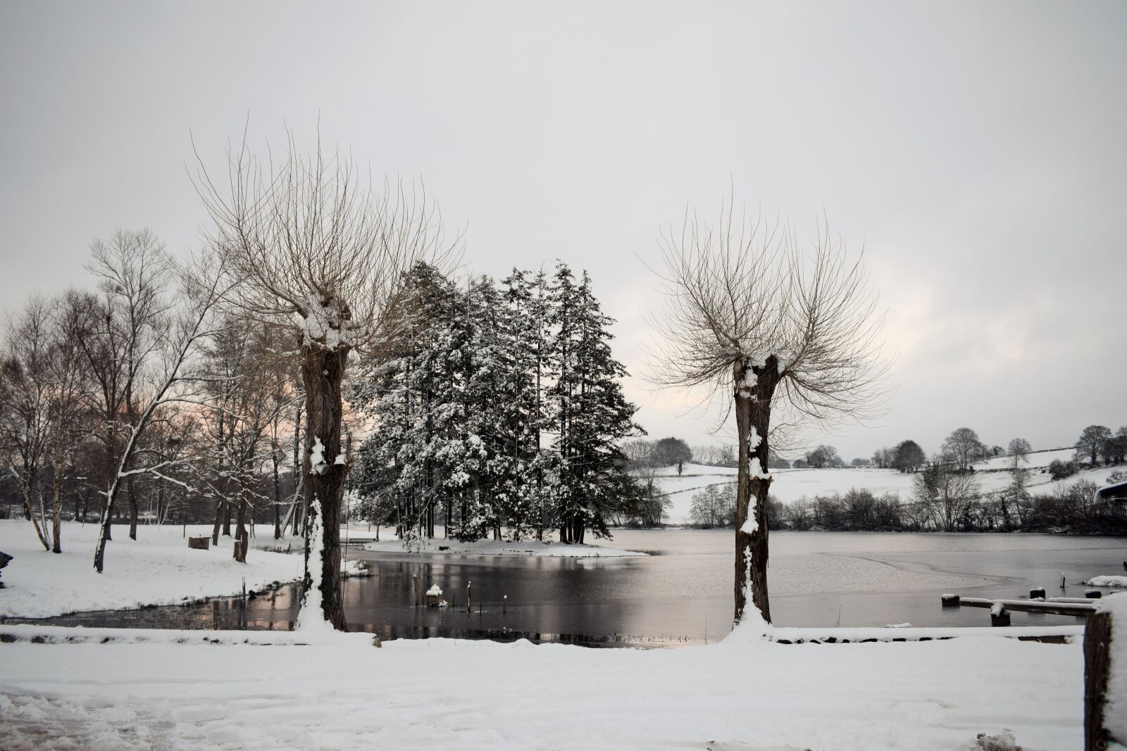 Nikon D3300 sample photo. Winter, tree, no person photography