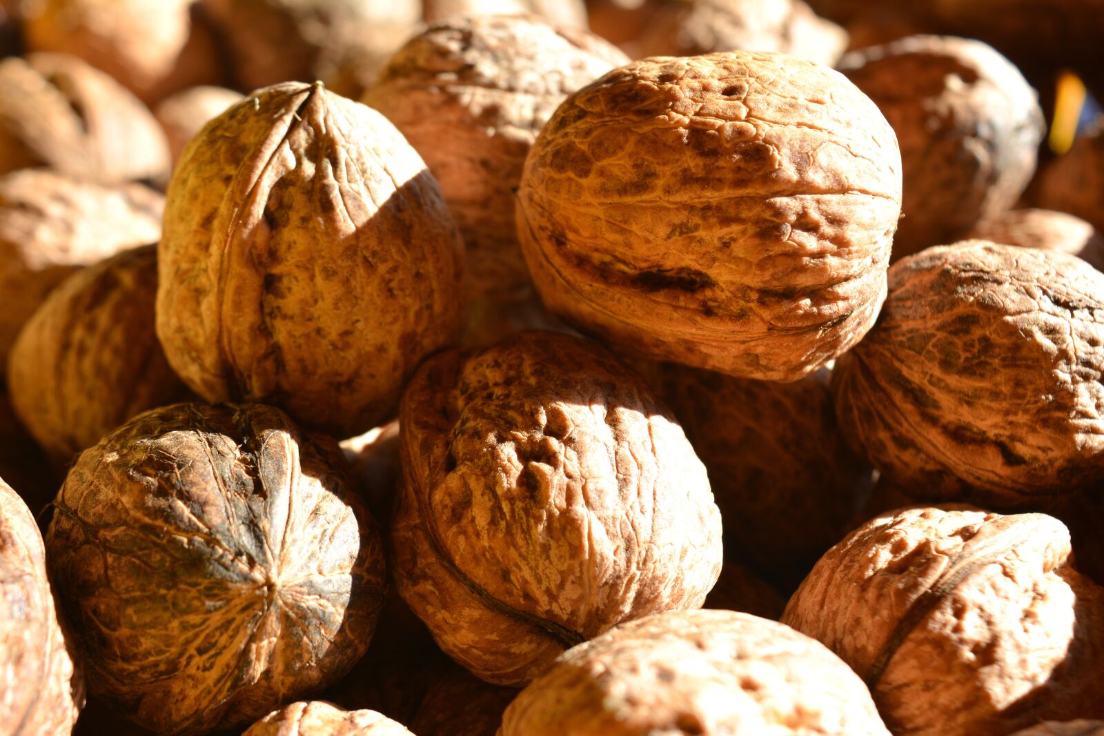 Nikon D5200 sample photo. Walnut, detail, foodstuffs photography