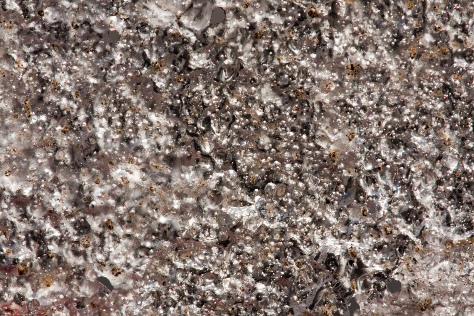 Canon EF 180mm F3.5L Macro USM sample photo