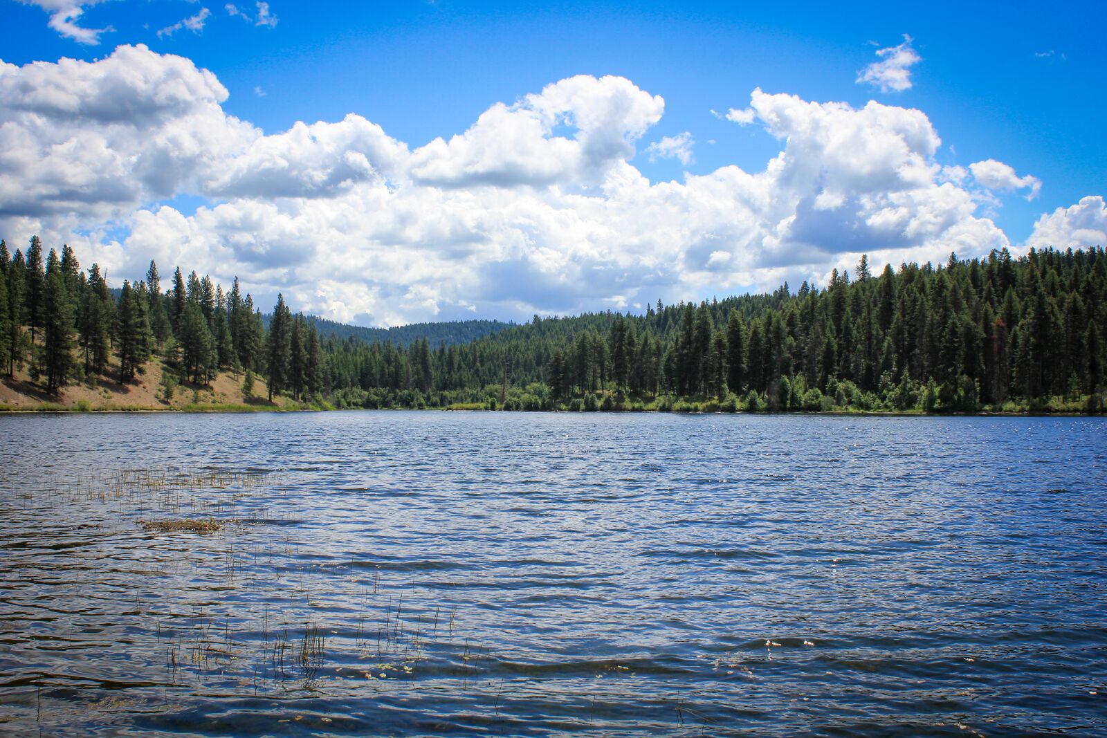 Canon EOS 550D (EOS Rebel T2i / EOS Kiss X4) sample photo. Lake, view, pine trees photography