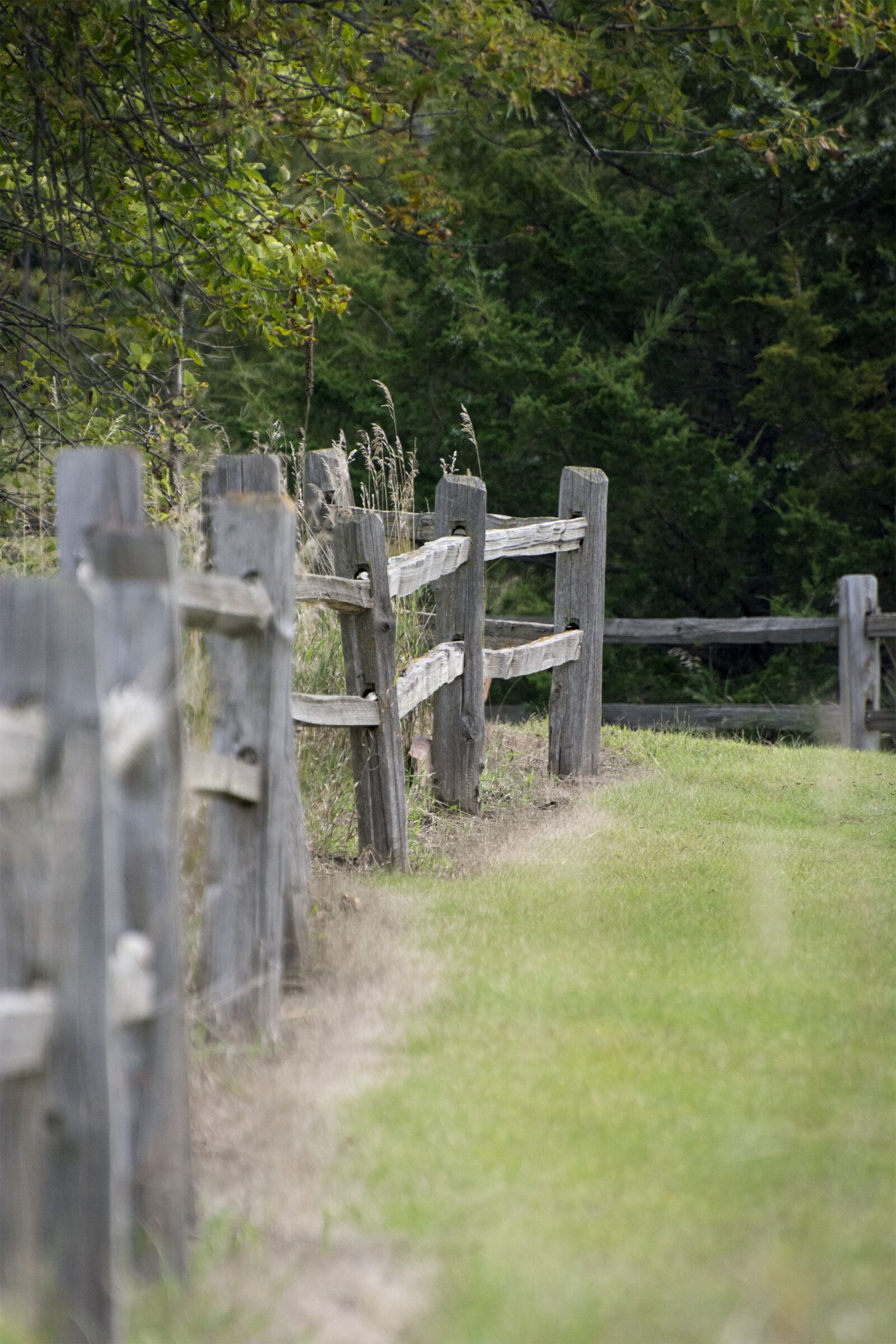 Nikon D7100 sample photo. Fence, field, landscape photography