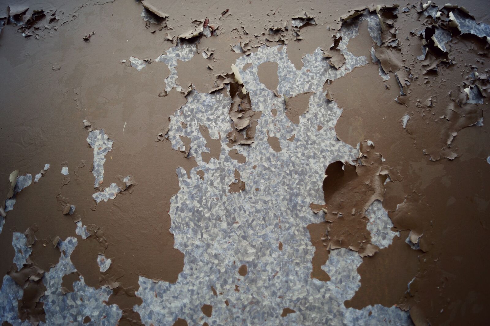 Sony DT 18-55mm F3.5-5.6 SAM II sample photo. Background, decay, cracks photography
