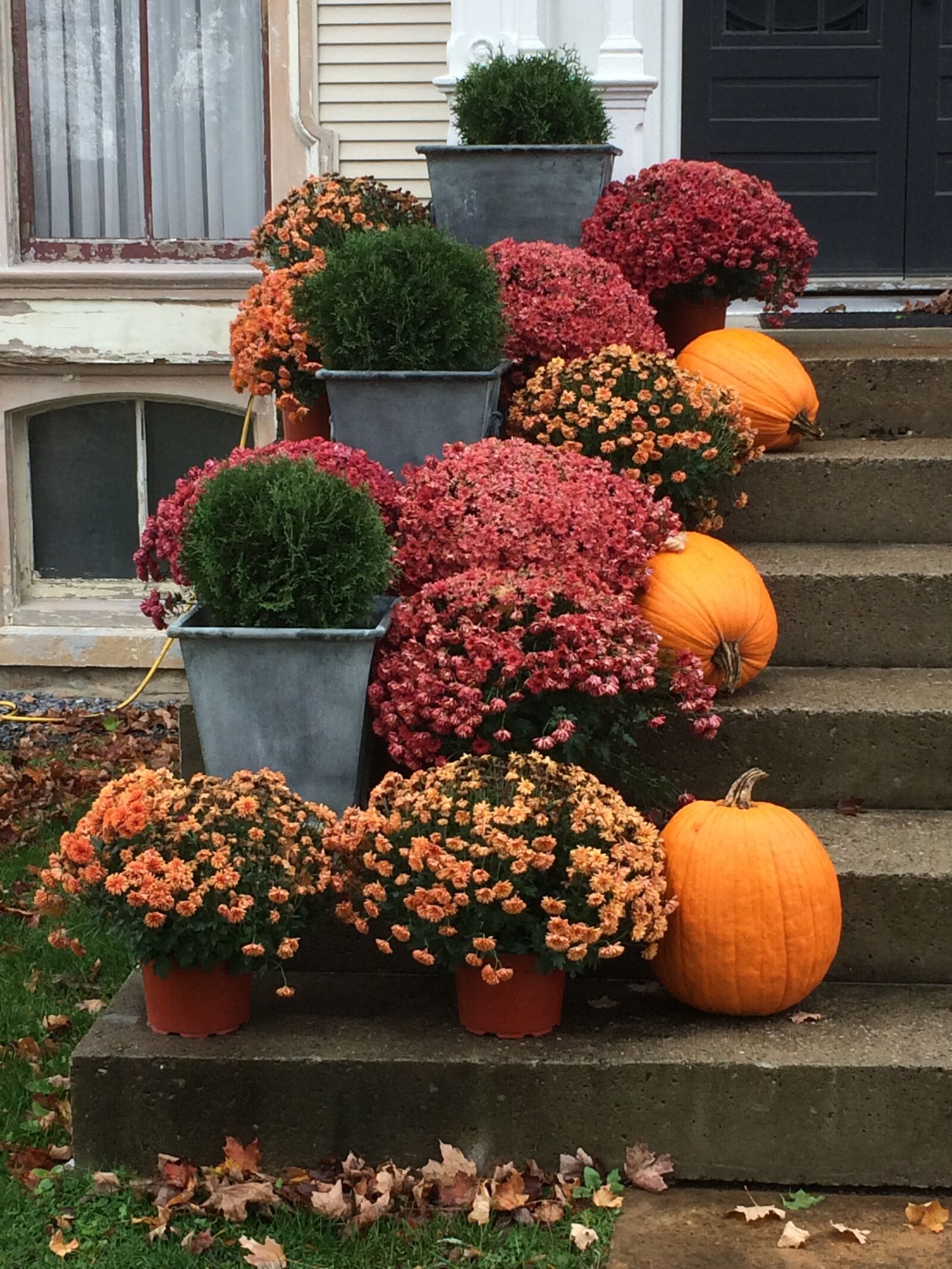 iPhone 5s back camera 4.12mm f/2.2 sample photo. Stairs, autumn, pumpkins photography