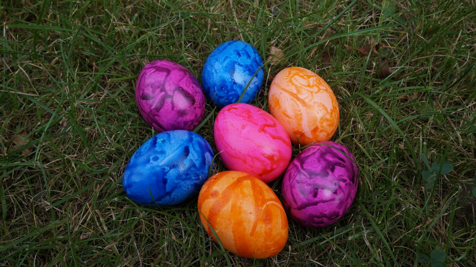 Sony Alpha a3000 sample photo. Egg, colorful, easter photography