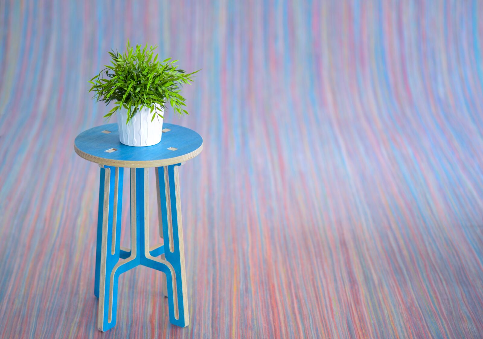 Nikon D610 sample photo. Plant, stand, green photography