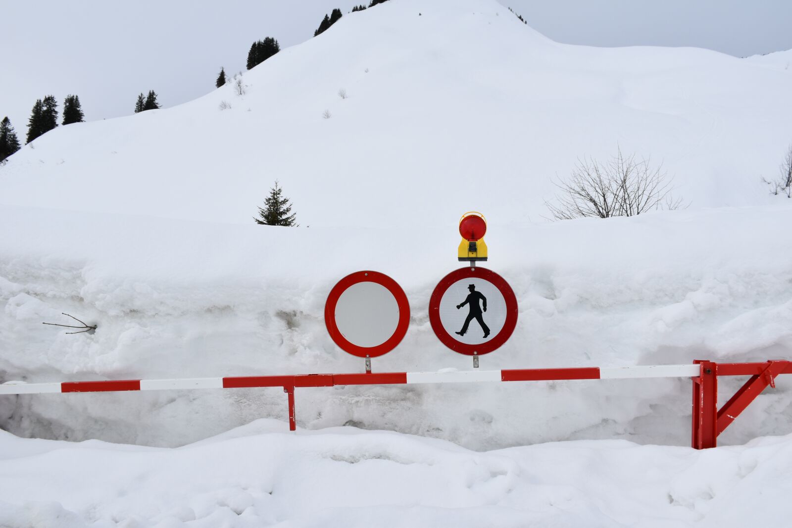Nikon D5600 sample photo. Snow, winter, cold photography