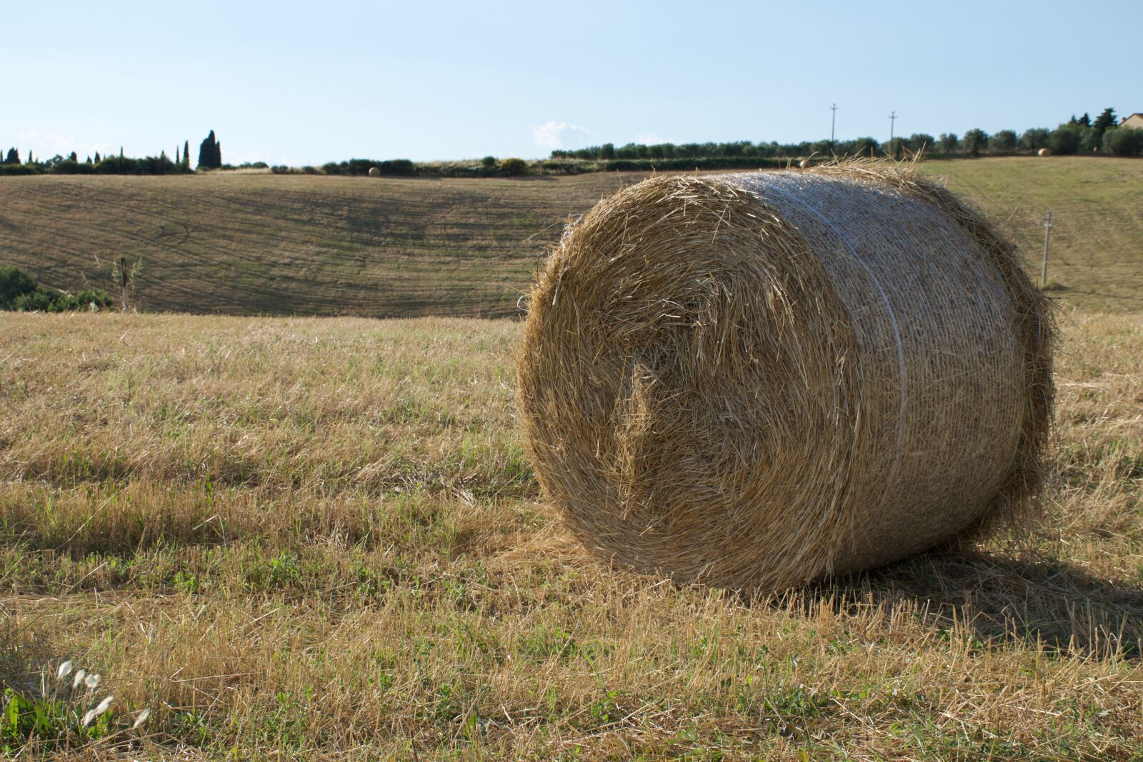 Nikon D5300 sample photo. Hay, summer, chaudhary photography