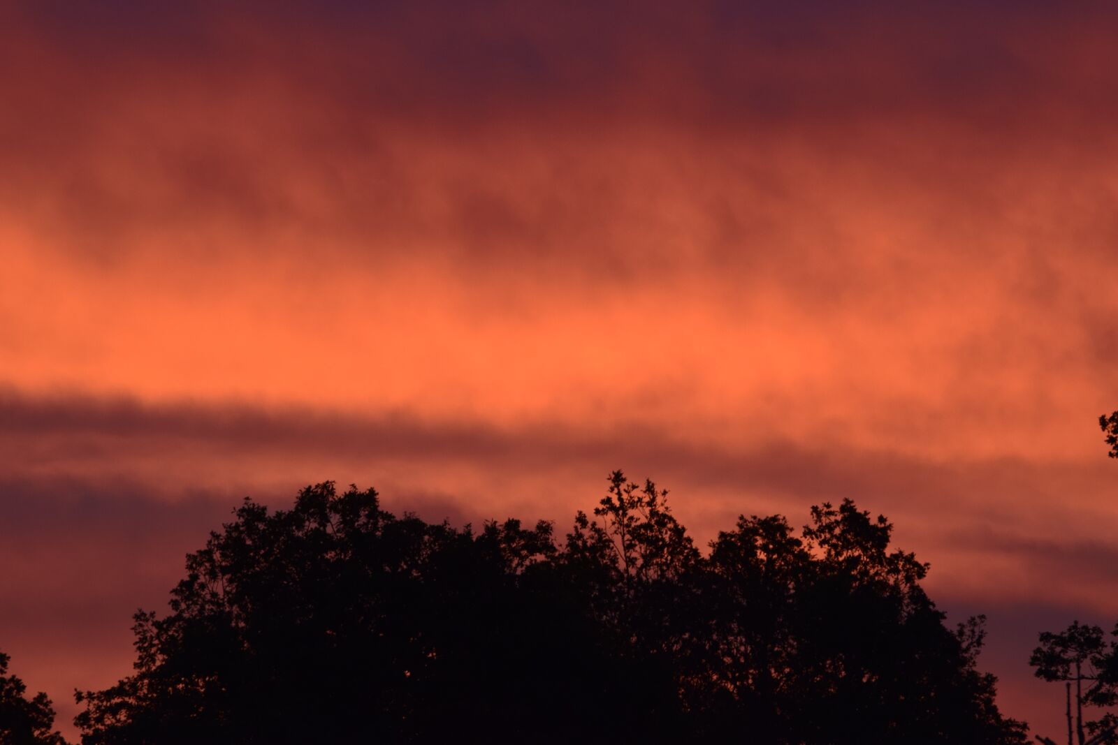 Nikon D3300 sample photo. Solar, orange, sunset photography